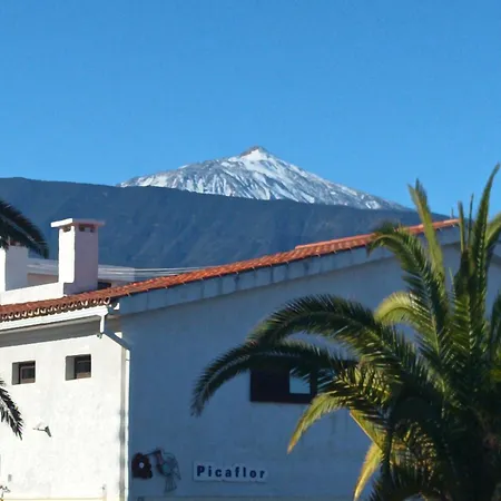 Picaflor Colibri Apartment Puerto de la Cruz (Tenerife)
